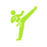 Karate icon